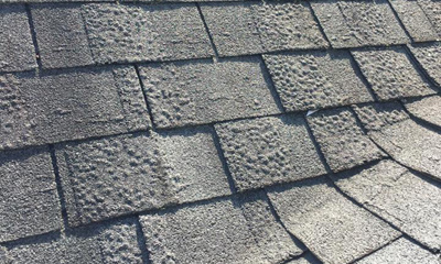 Bubbly roof shingles, for information on roof inspection from Thurston Roof of Raleigh, Durham, Clayton