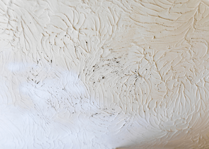 Black spots and stain on a ceiling