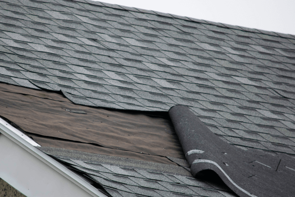 Torn and folded back roof shingles needing repair
