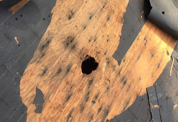 A hole in roof decking, noticed during a roof inspection